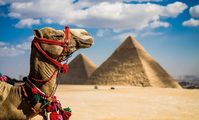 Египет готов принимать более 300 тысяч российских туристов ежемесячно  