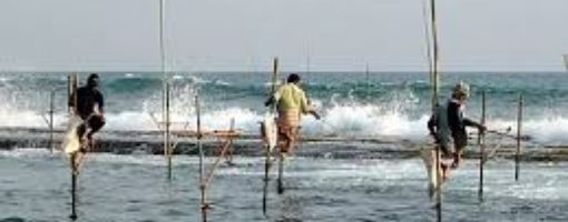 Египет начинает строительство рыбных ферм в африканских странах