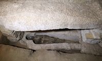 Египтологи раскрыли тайну мумии с лишним зубом и лишним позвонком
