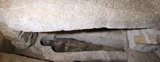 Египтологи раскрыли тайну мумии с лишним зубом и лишним позвонком