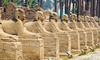 Знаменитые древние памятники Египта могут исчезнуть через 100 лет 