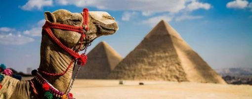 В Египте снимут ограничения для туристов и запустят горячую линию