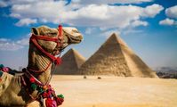  В Египте три курортных города открылись для туристов 