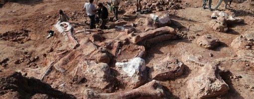 Самый полный скелет титанозавра обнаружен в Египте