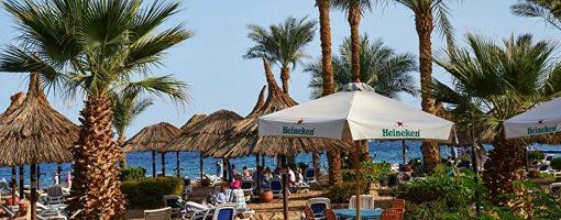  В Египте туристов могут пустить в отели со справкой об отсутствии вируса