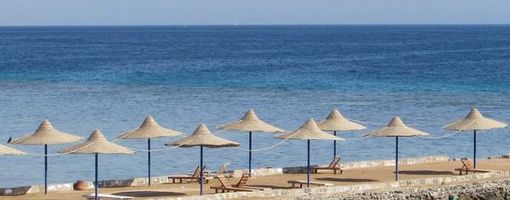 Российская делегация вынесла решение по открытию курортов Египта