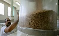 Крупнейшим покупателем российских продуктов стал Египет 