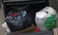 Египтянин по ошибке выбросил в мусор $26 тысяч
