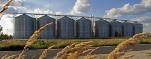 Египет и Италия подписали соглашение о строительстве зерновых элеваторов