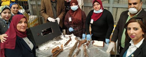 Неизвестные пытались отправить по почте из Каира древнеегипетские мумии