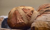 Следы описанного в папирусах лечения обнаружены у египетской мумии