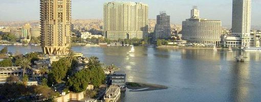 «Сделано в Египте». Югорская компания начнет выпускать лекарства и удобрения из ила реки Нил