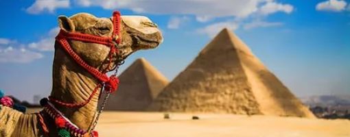 Египет ищет новые рынки 