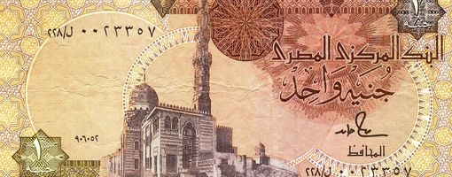 В Египте введен плавающий курс валюты