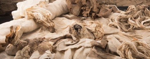 В Луксоре нашли принадлежности для мумифицирования