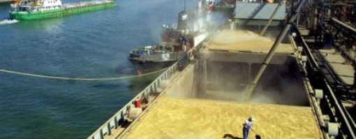 Египет отказался от партии российской пшеницы в порту Новороссийска 