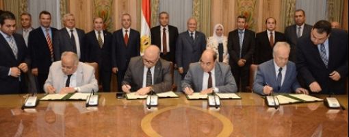 Россия и Египет будут сотрудничать в сфере производства оборудования для мукомольно-крупяной промышленности
