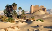 Бахрия - оазис в пустыне Египта