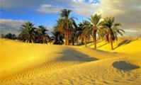 Оазисы в Ливийской пустыне Египта