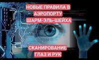 Снимают отпечатки пальцев: в аэропорту Шарм-эль-Шейха усилили контроль за прибывающими туристами