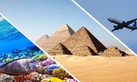 Приказано разрешить рейсы в Египет из 20 городов России