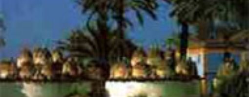 Файюм - самый крупный оазис в пустынях Египта