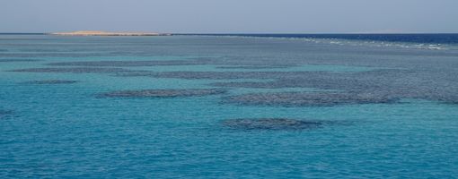 Египет ищет инвесторов для развития отелей на курортах Красного моря