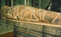 мумии в каирском музее