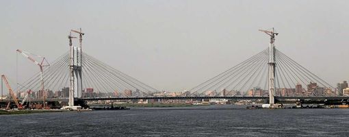 Самый широкий подвесной мост в мире открыли в Египте