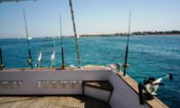 рыболовное сафари в Красном море, Египте