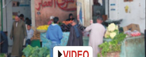 Городской рынок в Хургаде - Видео 