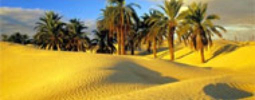 Оазисы в Ливийской пустыне Египта