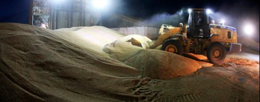 Россия оставит Египет без пшеницы